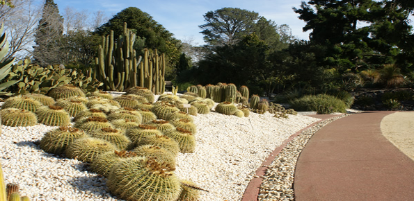 Geelong Botanical Gardens